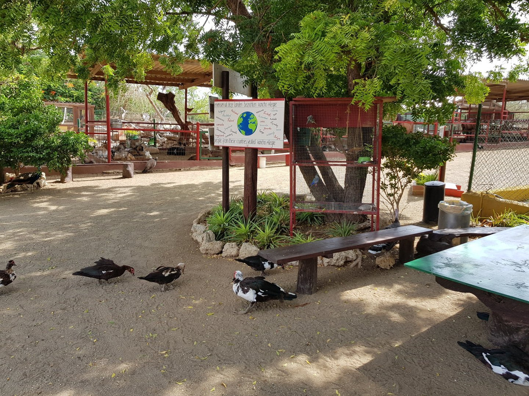 Rancho Alegre Curacao-Dorp Sint Michiel必去景点