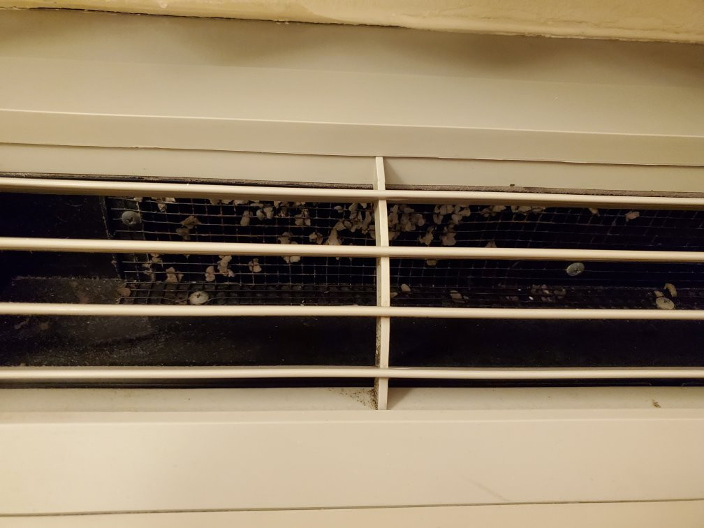 Quality Inn Durand主图