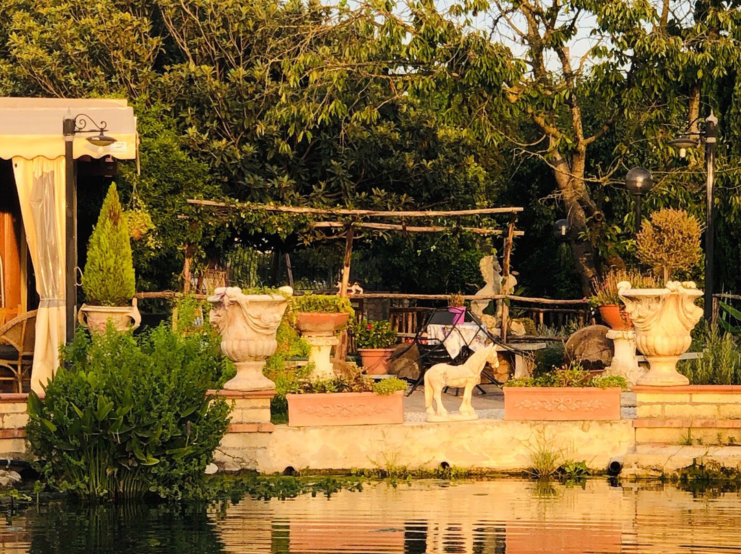 Acerra旅游攻略图片