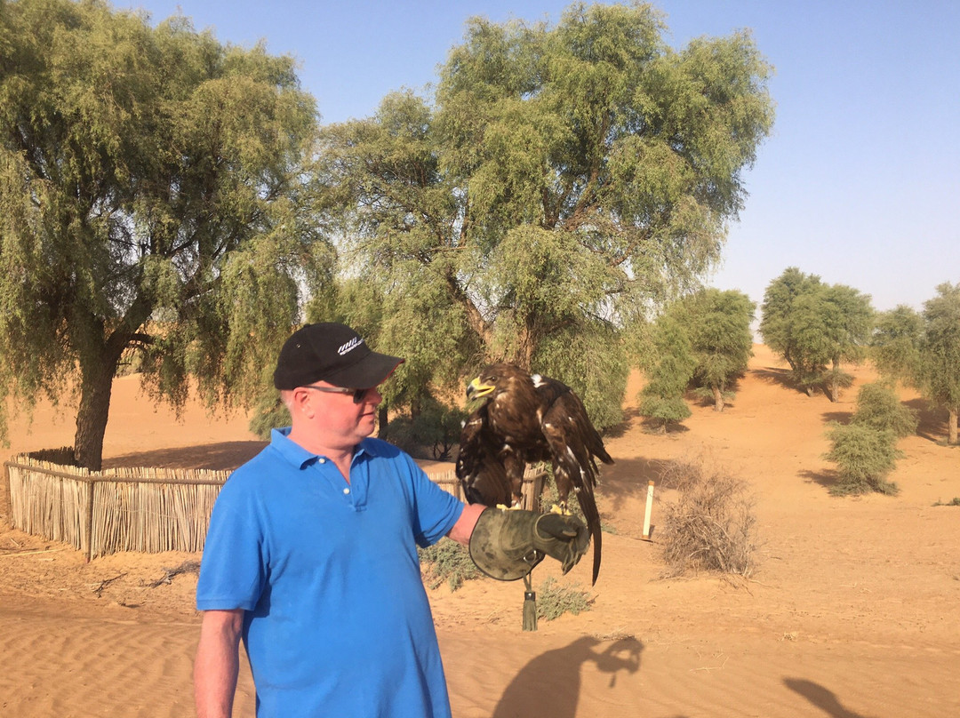 Royal Shaheen Events-迪拜必去景点