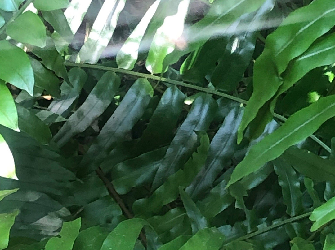 Jardín Botánico de Acapulco-阿卡普尔科必去景点
