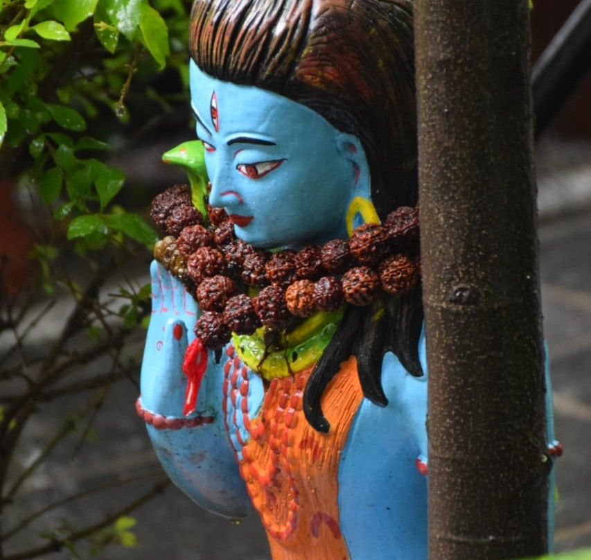 Oasis Kathmandu Hotel主图