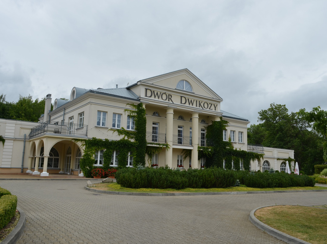 Dwor Dwikozy主图