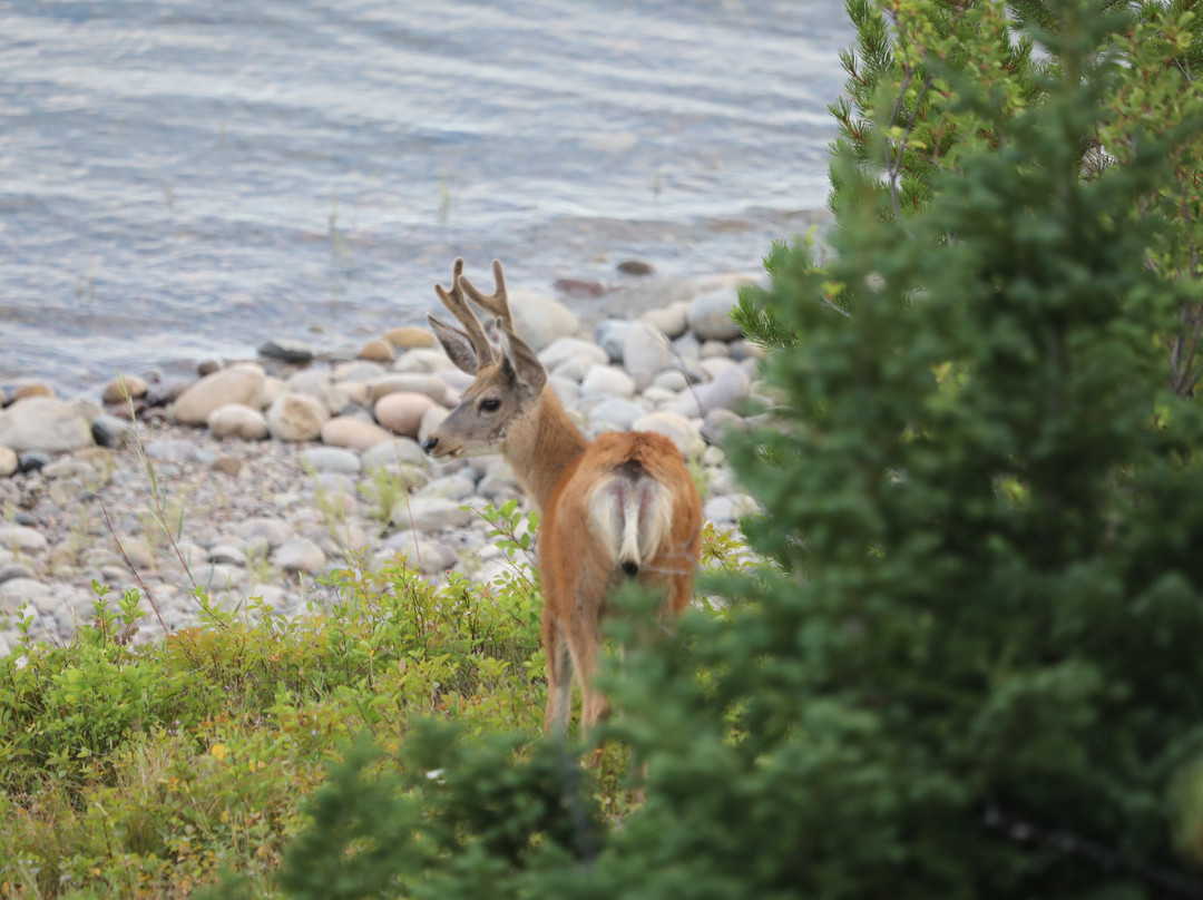 信号山旅馆主图