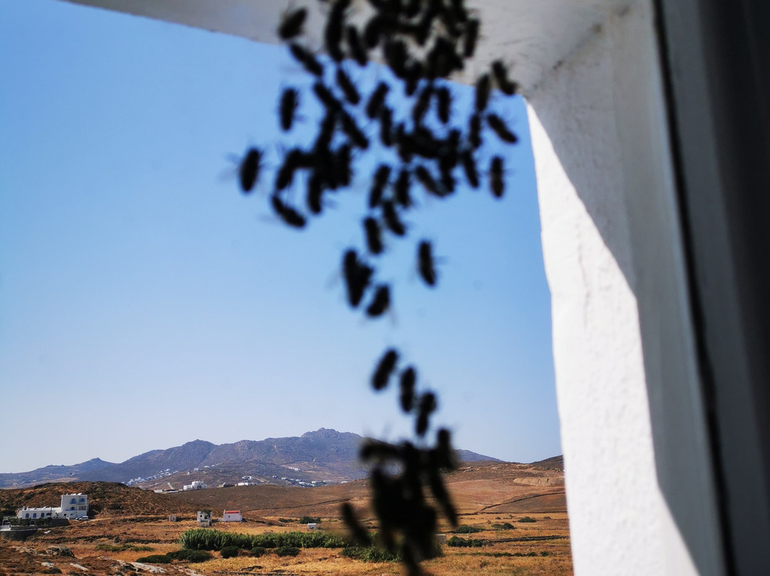 Anamar Mykonos Natural Retreat主图