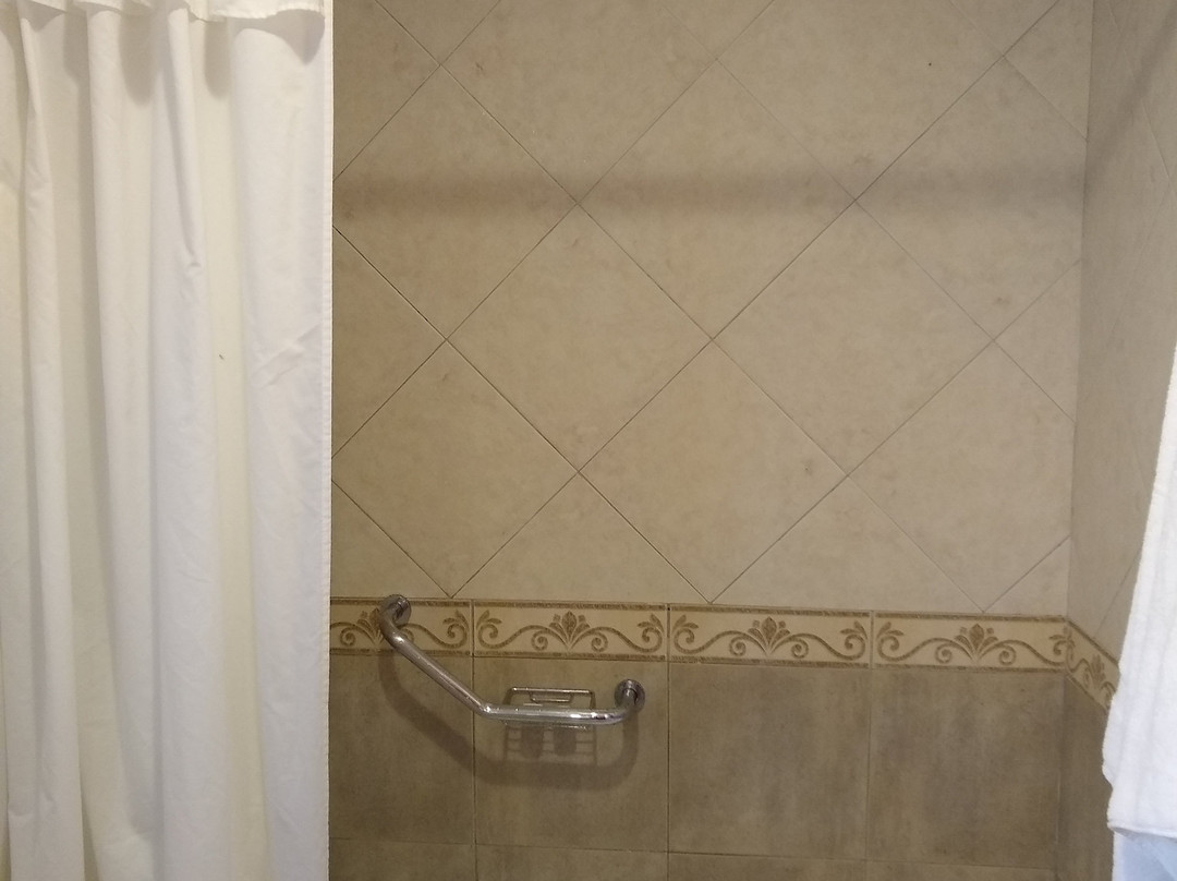 Hotel Asturias主图