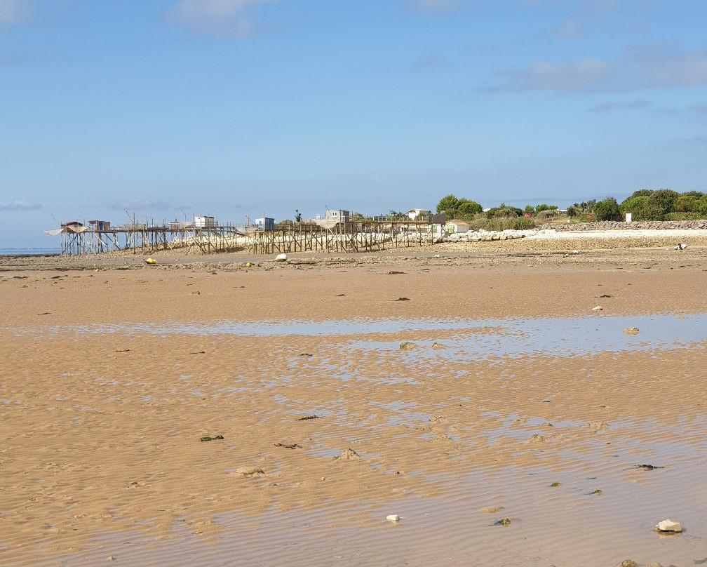 Le Port du Loiron景点图片
