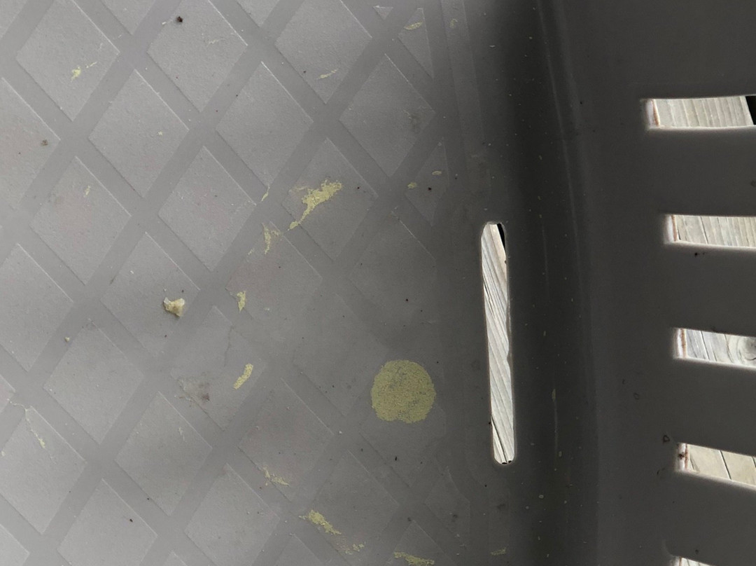 Calabogie Highlands Golf Resort主图