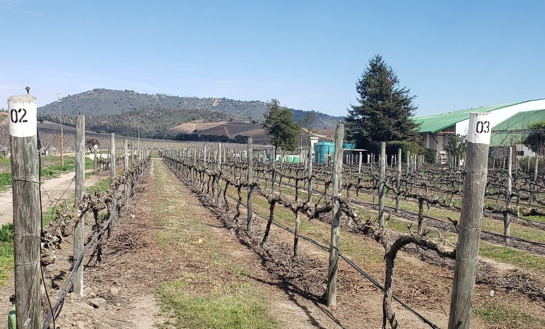 casablanca valley景点图片