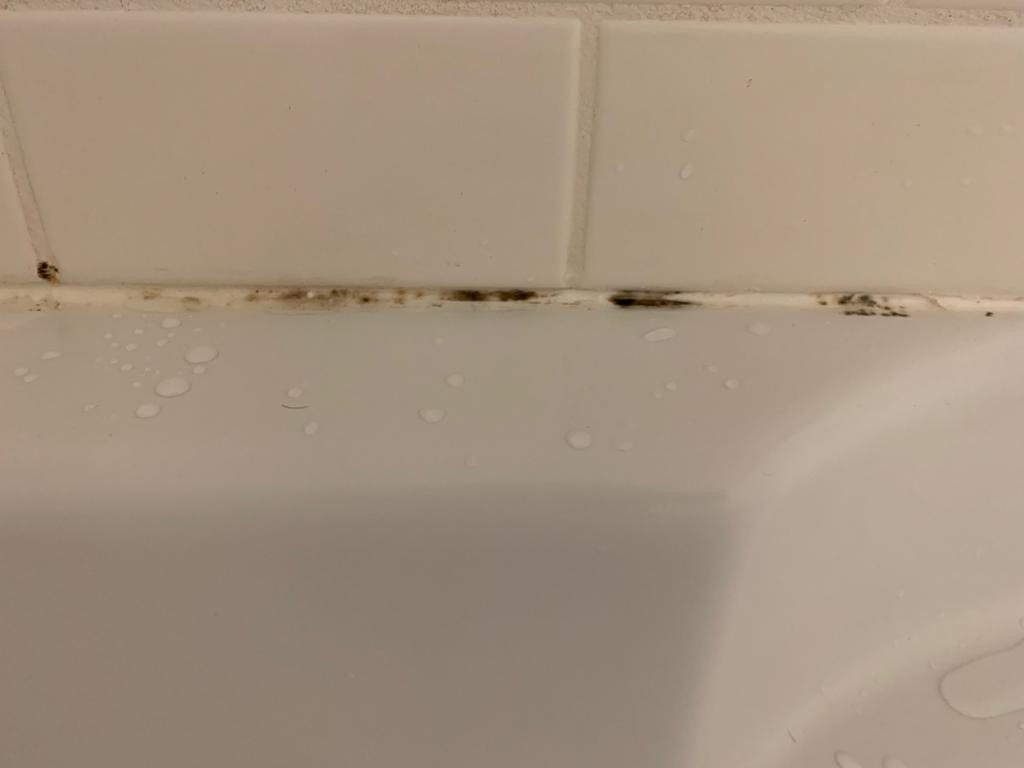 哈利法克斯福朋喜来登酒店主图