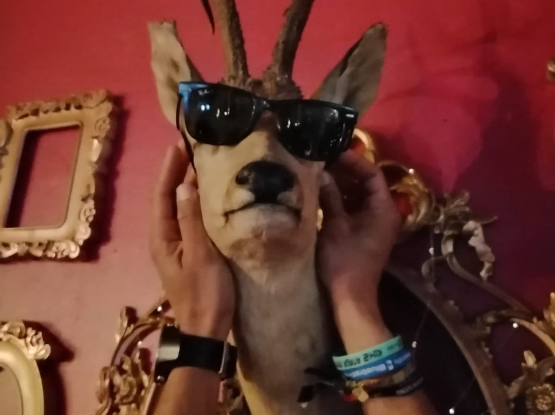 La Guiri-圣克鲁斯-德特内里费必去景点