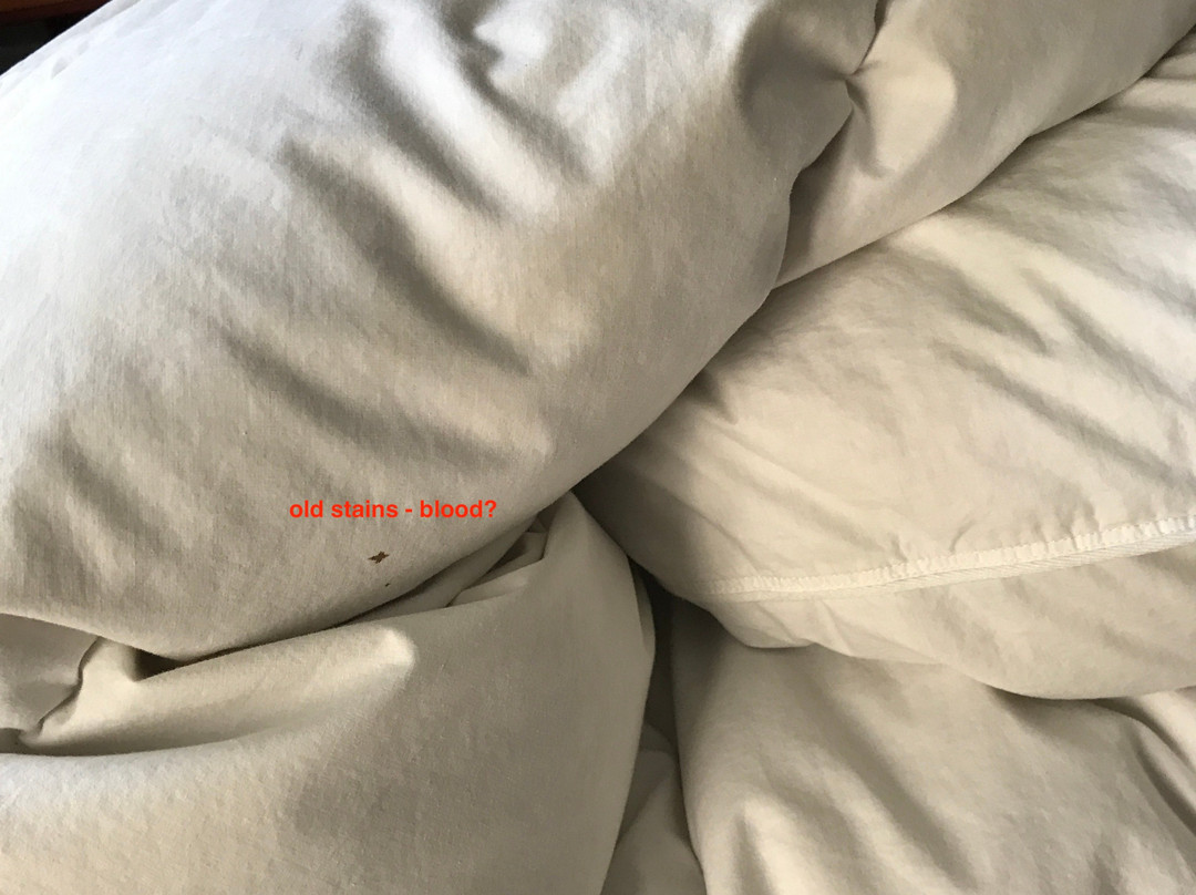 Hilton Vancouver Airport主图