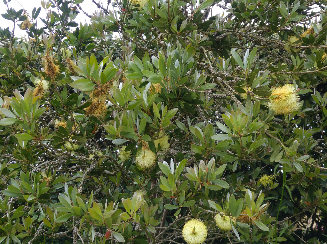 Les Chambres du Mad主图