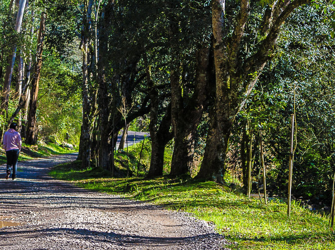 Cachoeira da Linha Feijo-南卡希亚斯必去景点