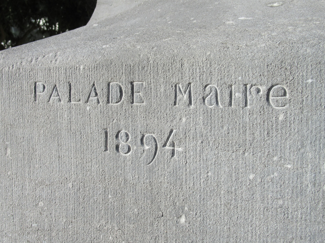 Monument du Général Ladreit de Lacharrière景点图片