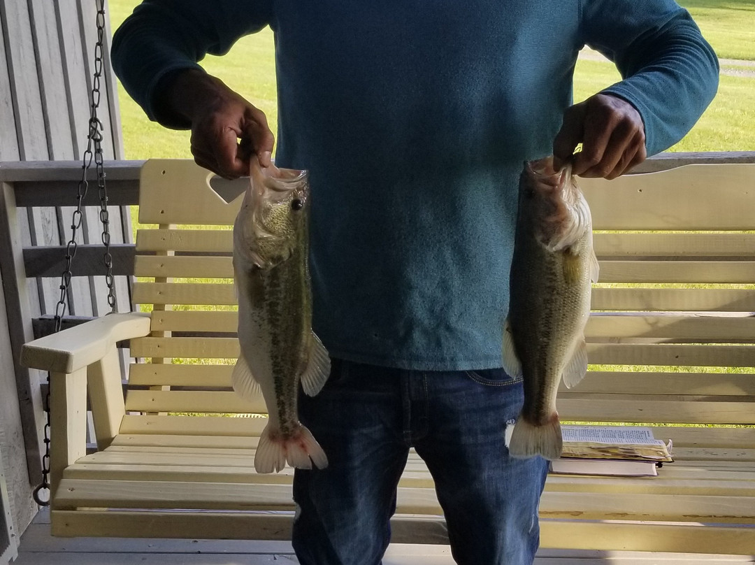 Volunteer Gap Inn主图