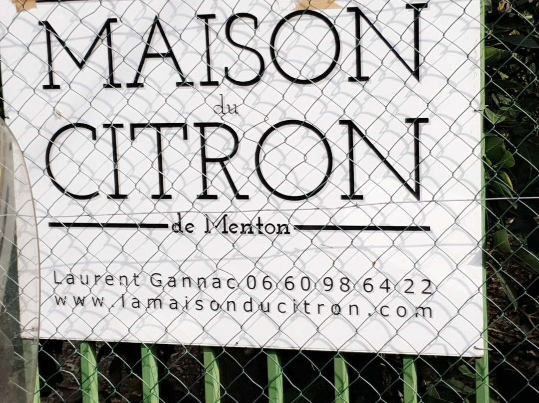 La Maison Du Citron景点图片
