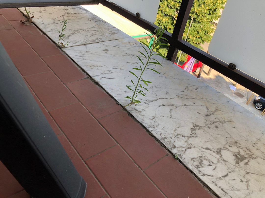 Hotel Villa del Sorriso主图