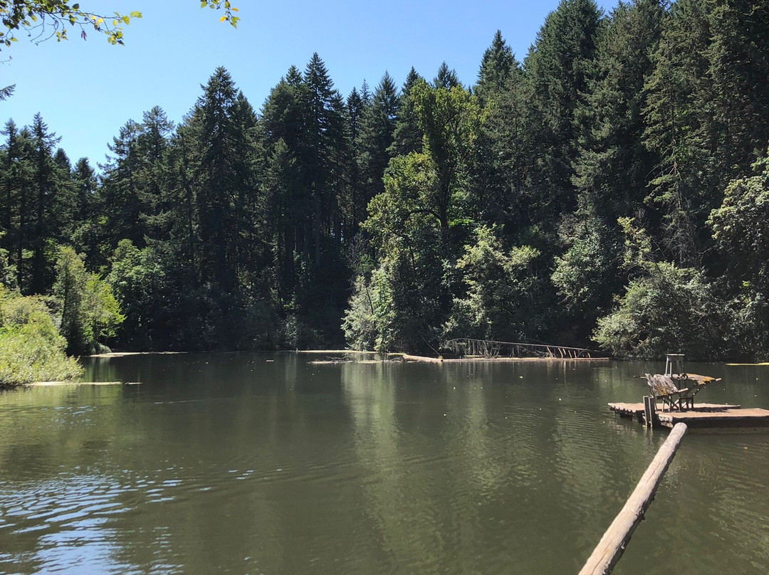 Peavy Arboretum-科瓦利斯必去景点