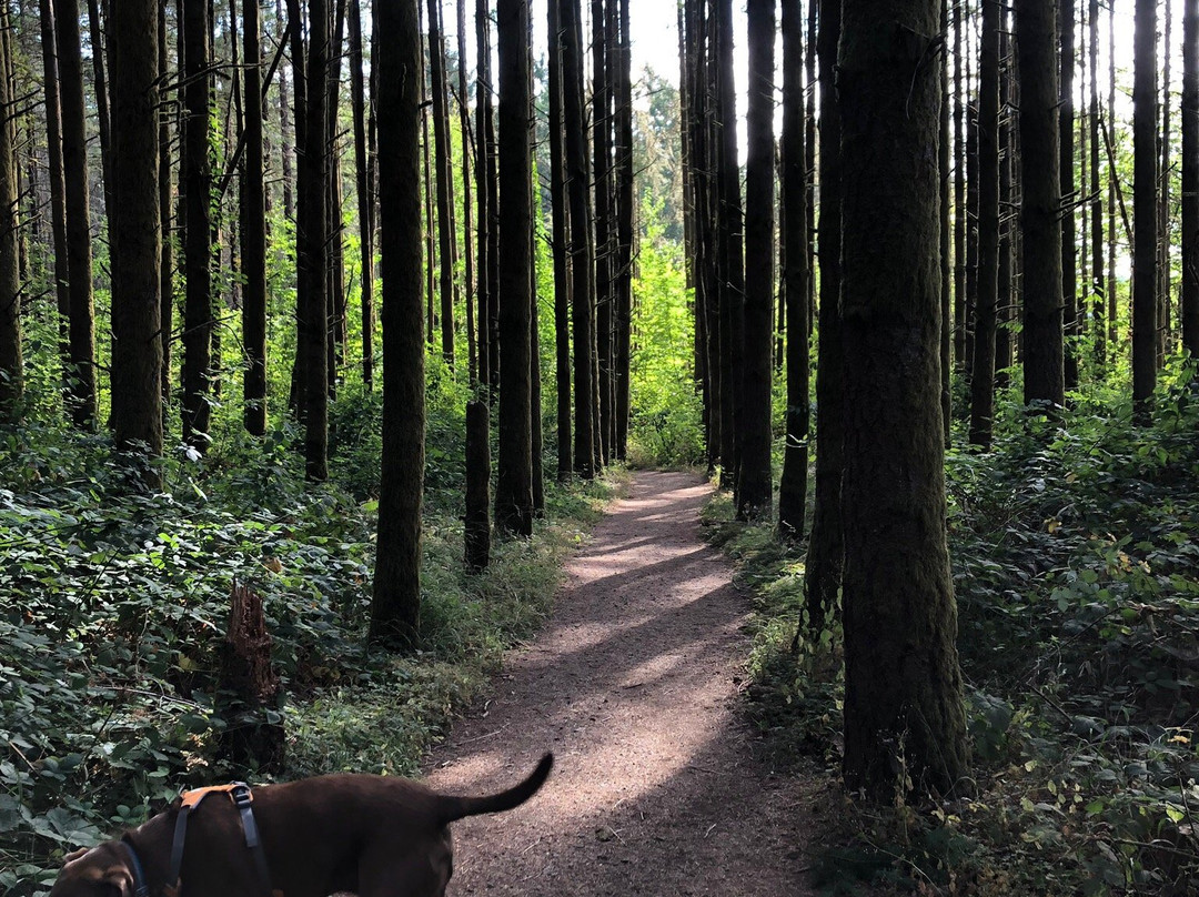 Peavy Arboretum-科瓦利斯必去景点