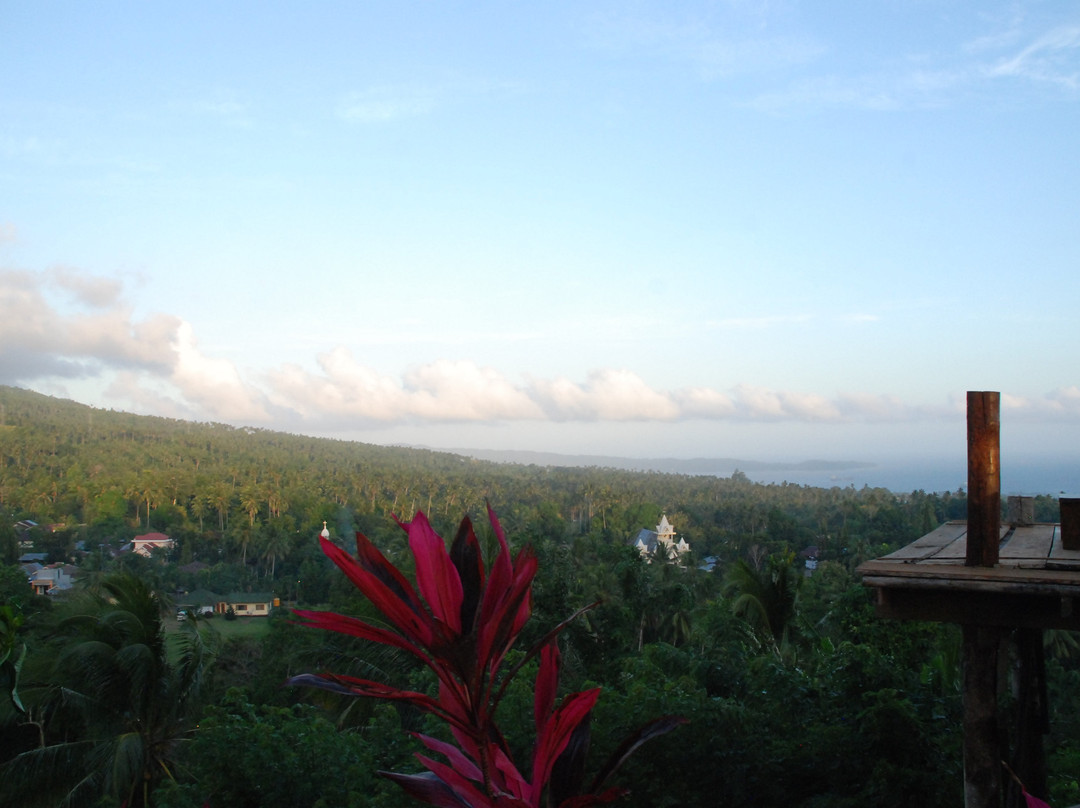 Botanica Nature Resort主图