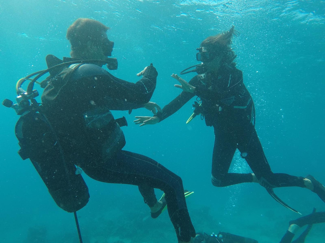 Hippocampe plongee-Mamoudzou必去景点