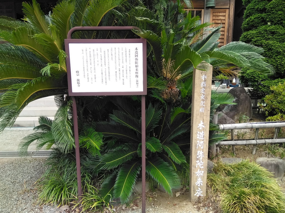 Ryufuku-ji Temple景点图片