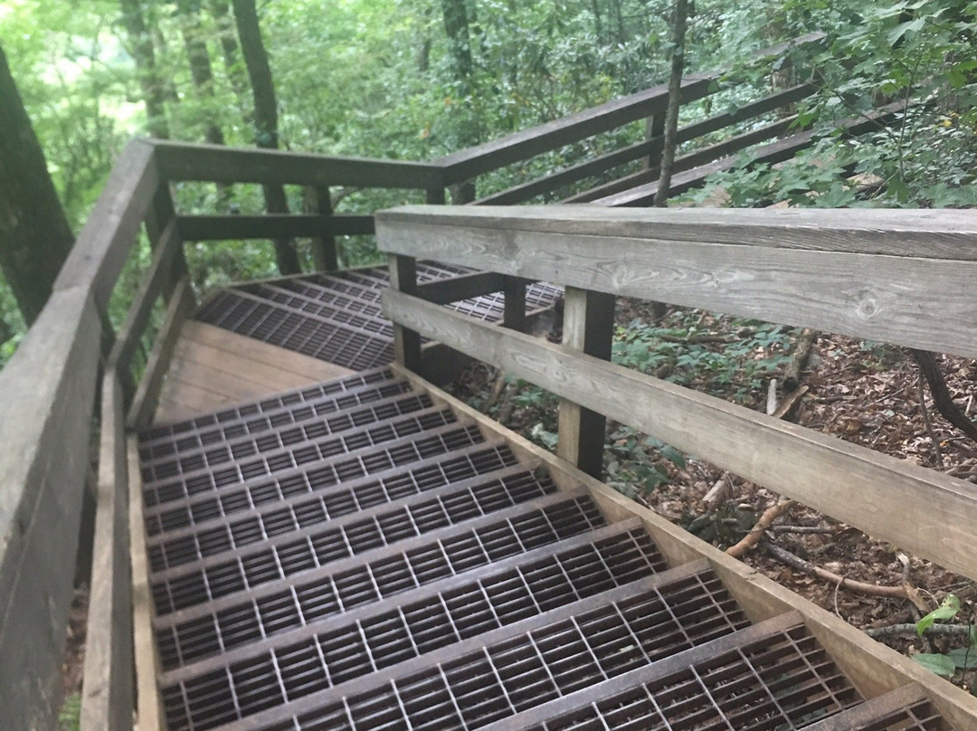 West Ridge Spring Trail-道森维尔必去景点