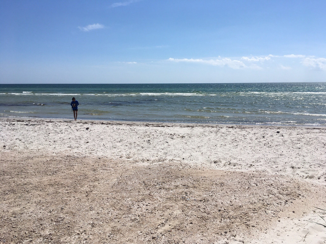 Falsterbo Strand景点图片