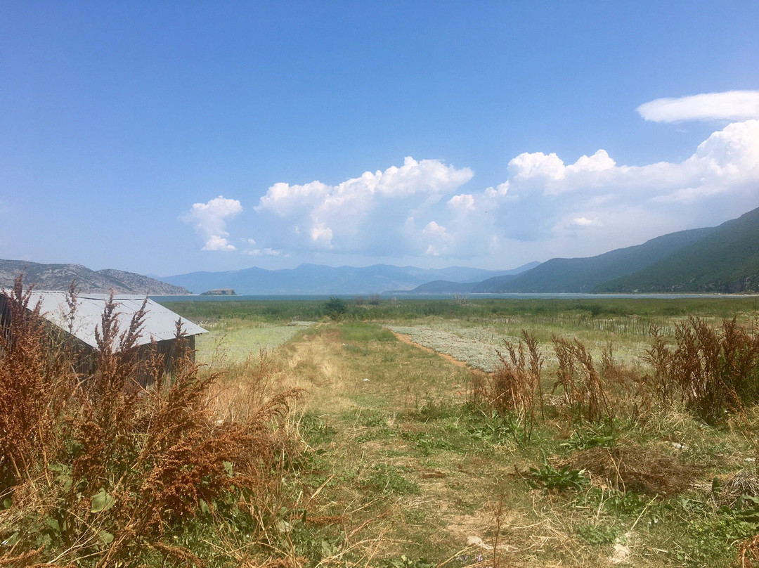 Prespa National Park-Korce必去景点