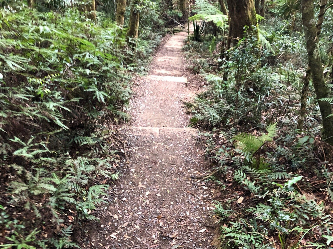 Tallanbana Picnic Area-春之泉必去景点