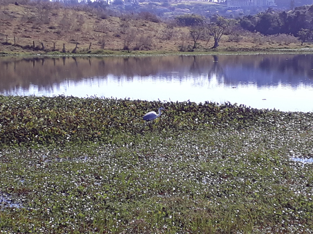 Palmeiras Lake-Aguas de Sao Pedro必去景点