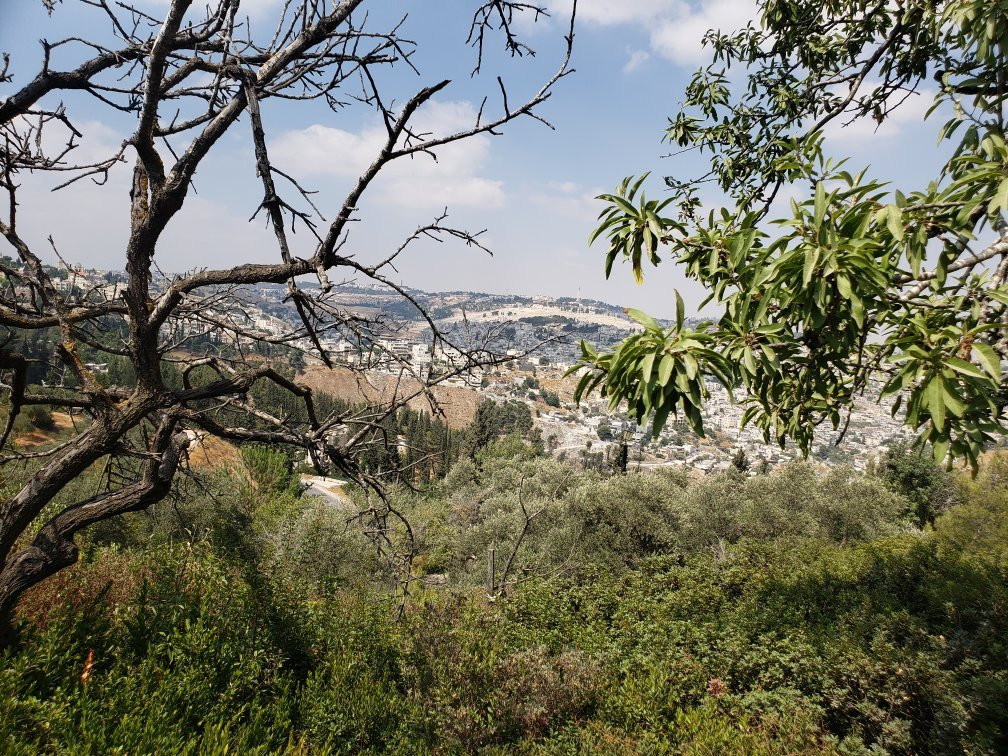 Israel with Gill Hoffmann-耶路撒冷必去景点