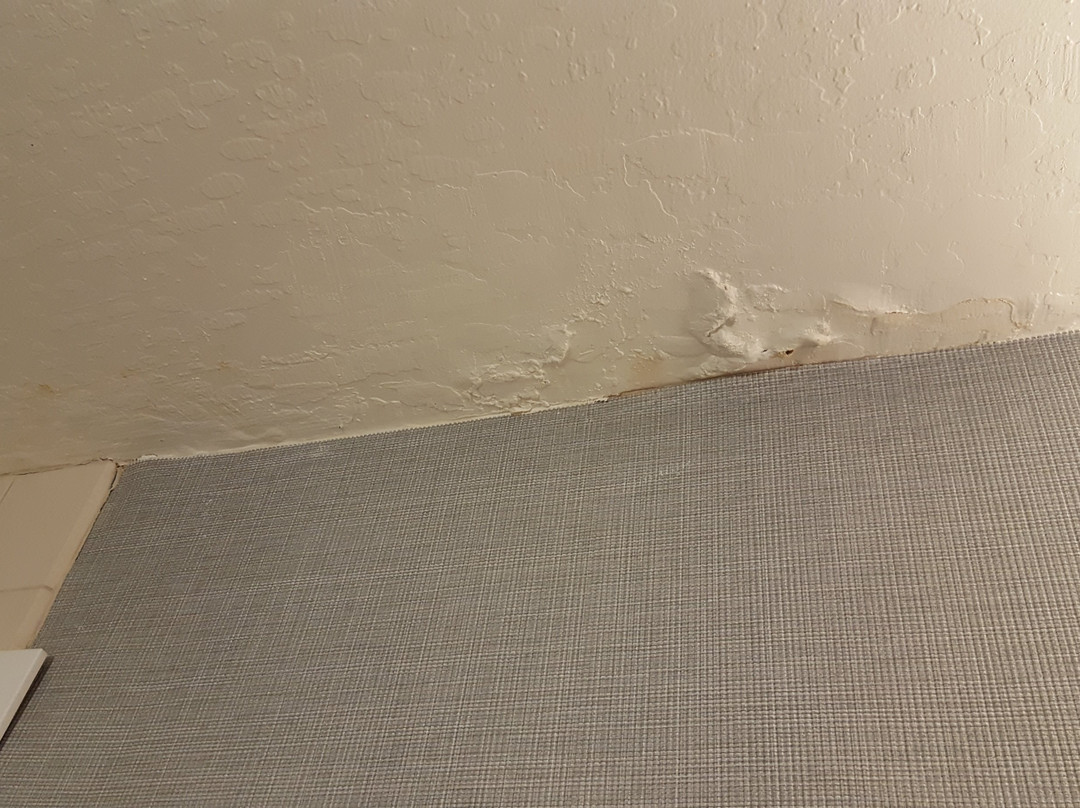 凯悦嘉轩-圣何塞主图