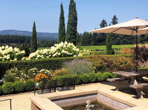 Alloro Vineyard-Sherwood必去景点