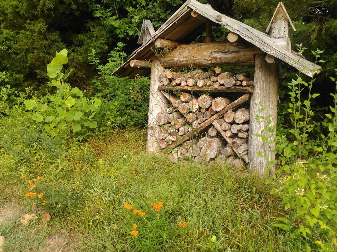 Squirrel Lake Park-马修斯必去景点