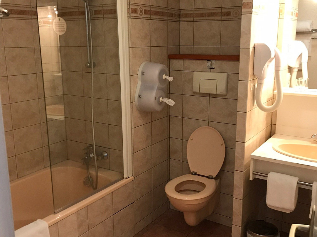 Hôtel L'Albatros主图