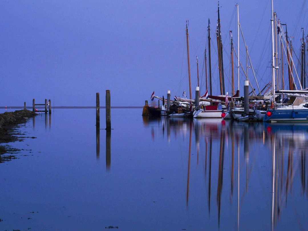 Nationaal Park Schiermonnikoog-Schiermonnikoog必去景点