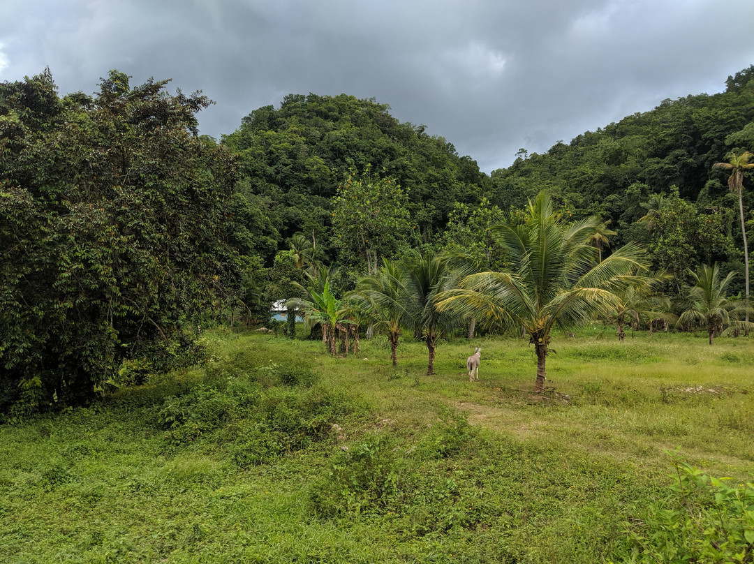 Bunkers Hill Cultural Xperience & River Tour-Wakefield必去景点