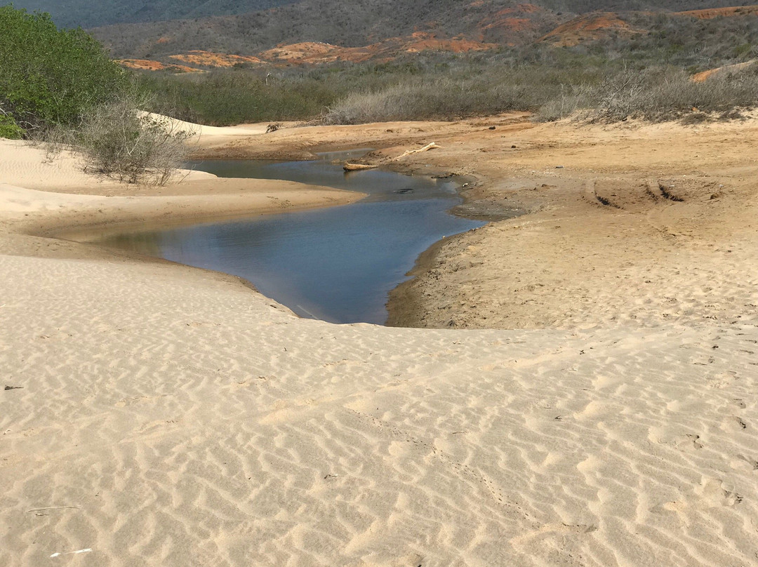 Punta Arena Beach-玛格丽塔岛必去景点