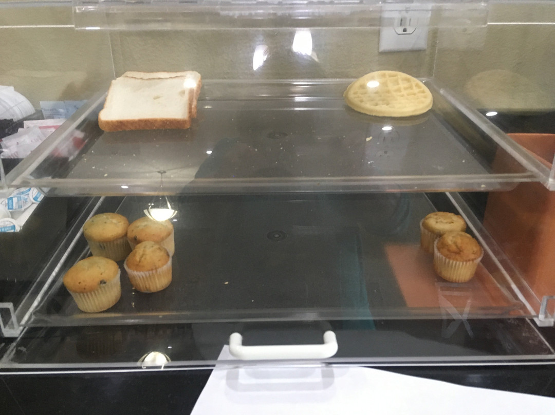 Rodeway Inn & Suites, Winnfield, LA主图