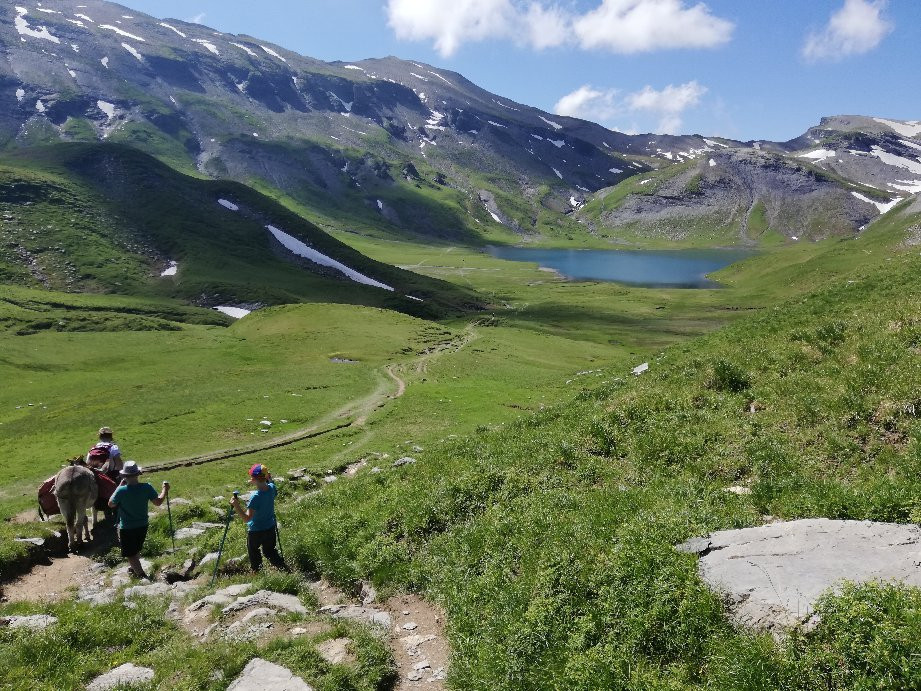 Lac d'Anterne景点图片