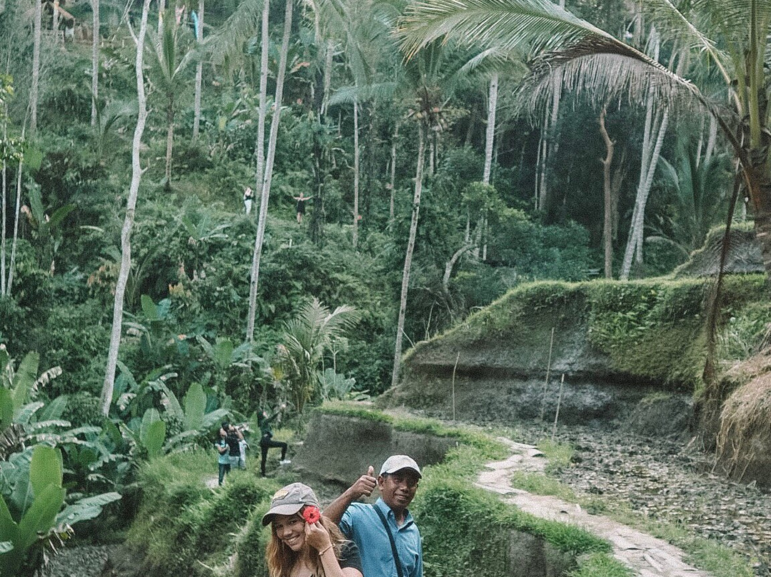 Bali Purana-乌布必去景点