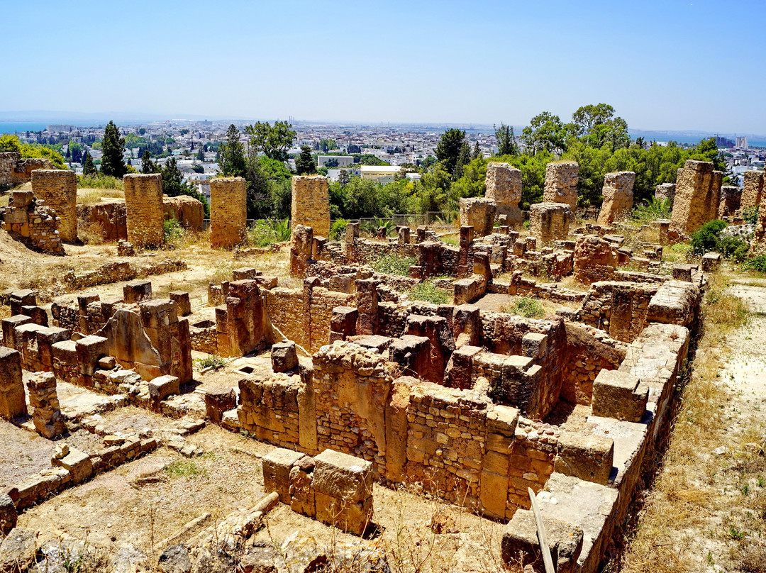 Carthage Museuma景点图片