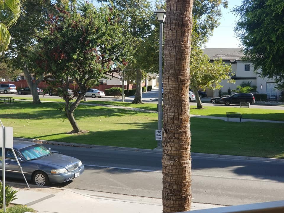 The Pacific Inn主图