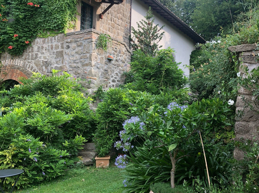 Il Gelso Bianco主图