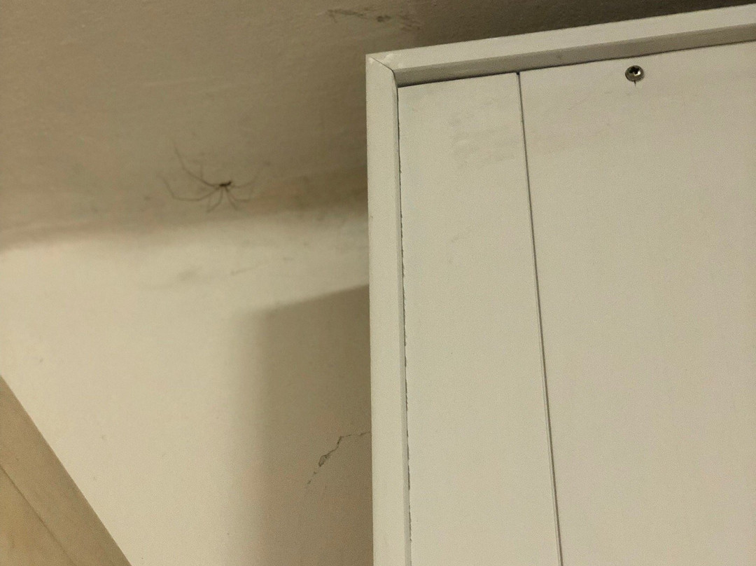 Villenpark Sanghen主图