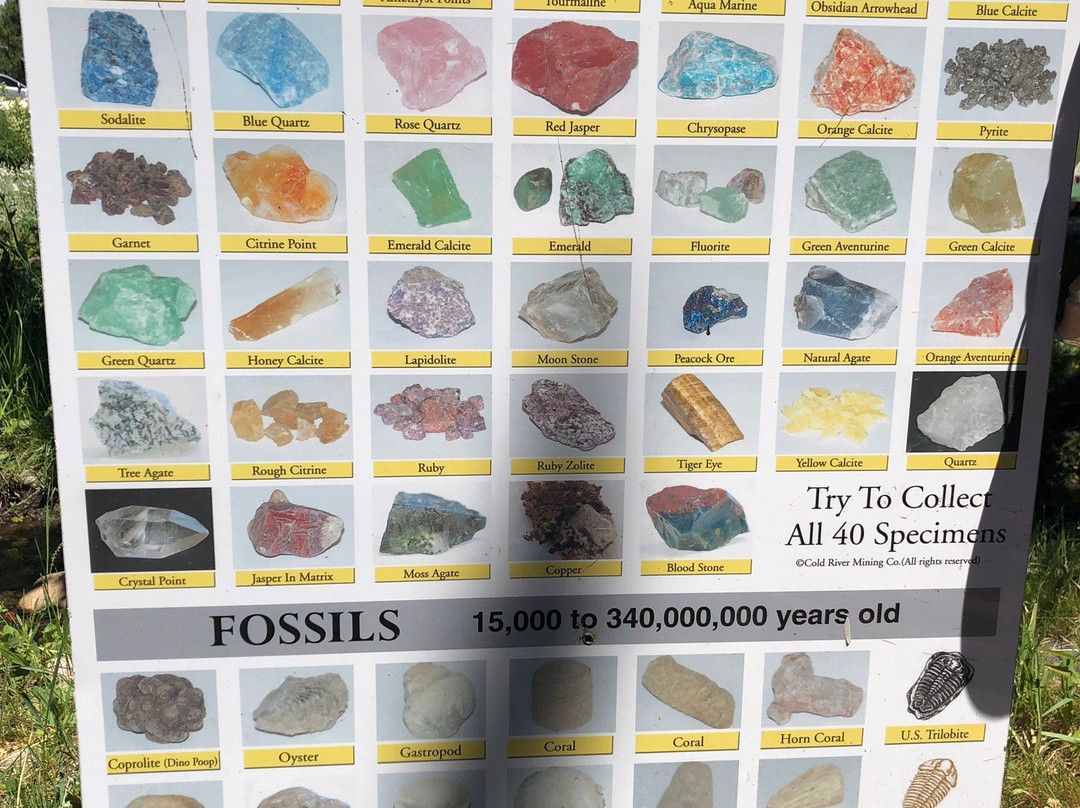 Amaze'n Steamboat Family Fun Park-斯廷博特斯普林斯必去景点