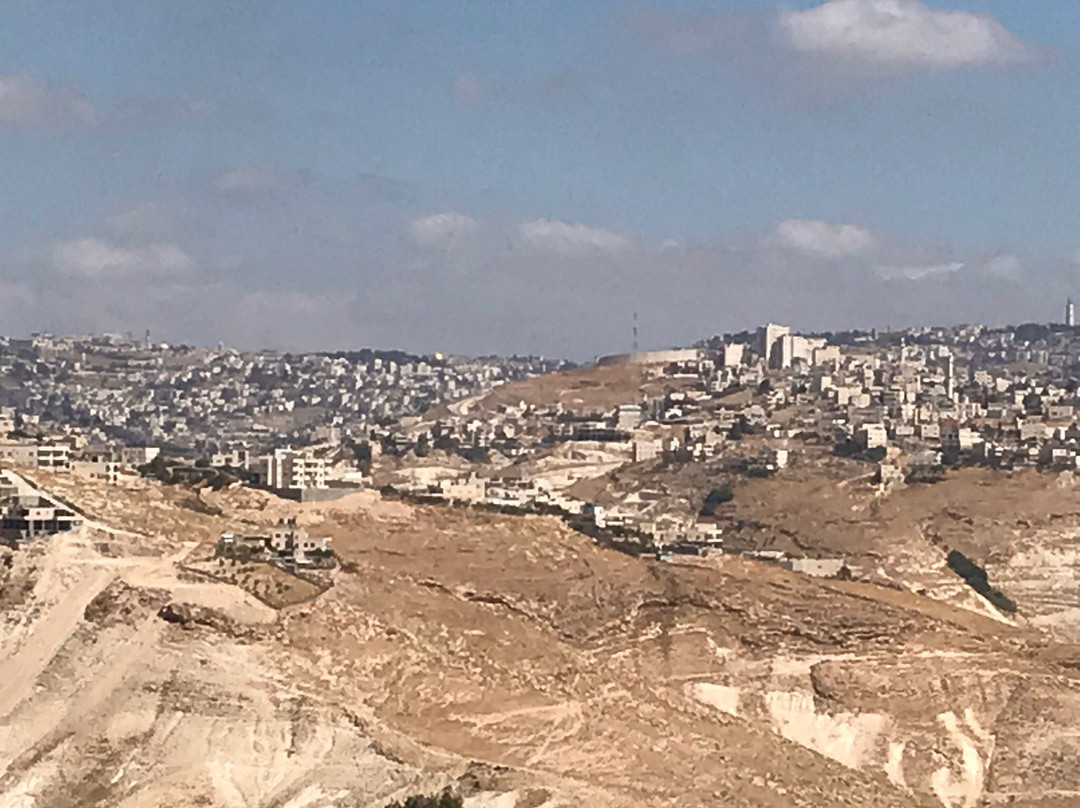 Palestine Plaza Hotel主图