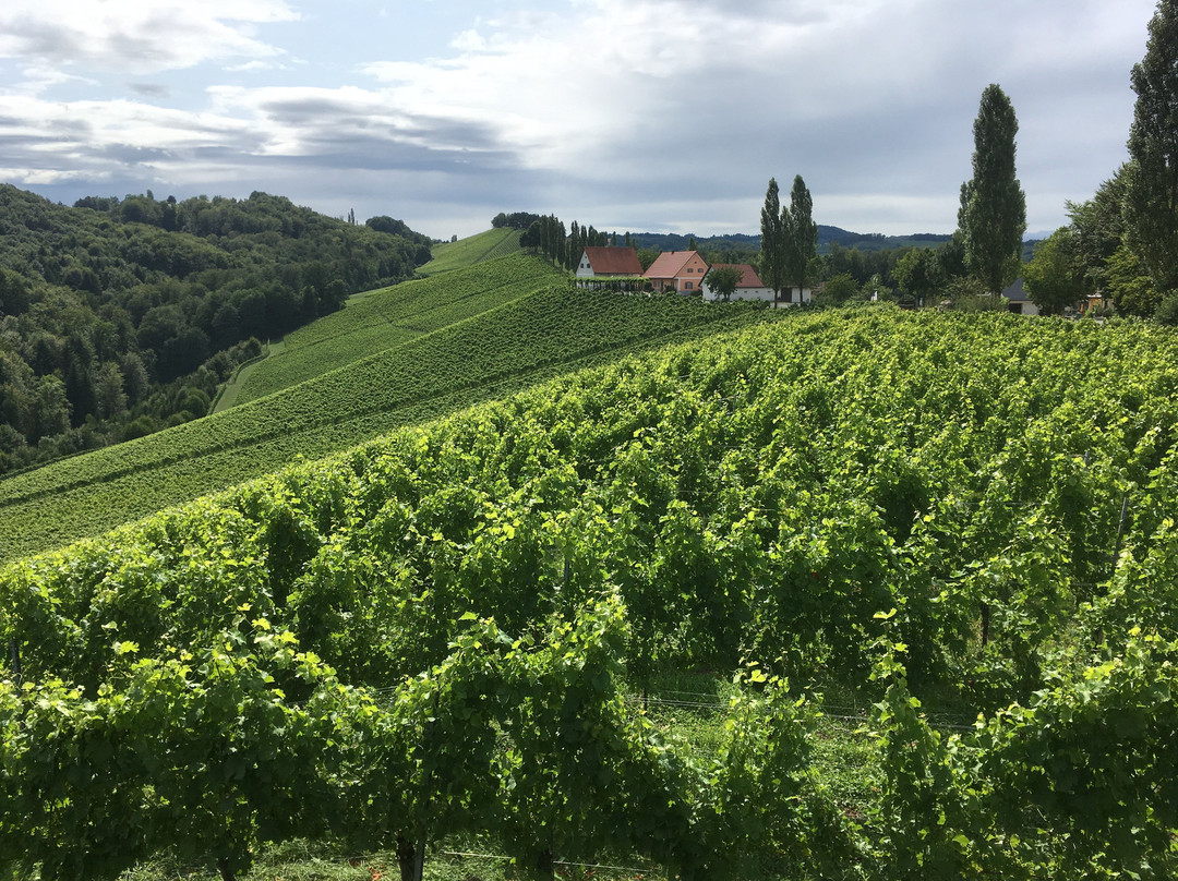 Weingut Sattlerhof主图